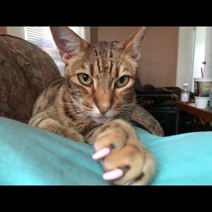 Meet your Posher, Sarah